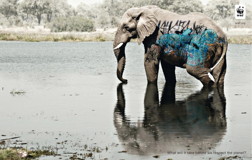 biodiversity-and-biosafety-awareness-elephant.jpg