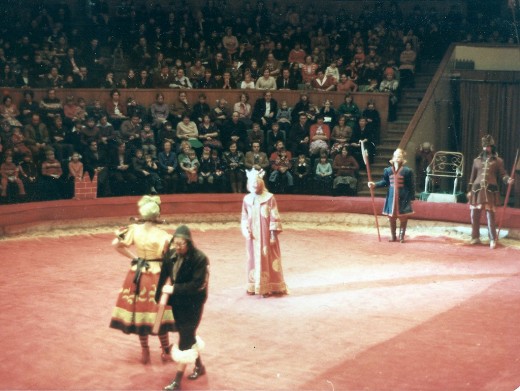 Новосибирский цирк